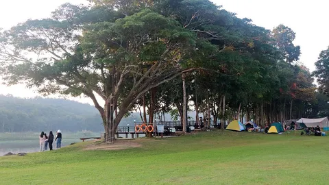 หยุดยาวชวนสายแคมป์เที่ยว อช.แม่ปืม นอนสบาย หมูกระทะมีปลั๊กชาร์จพร้อม