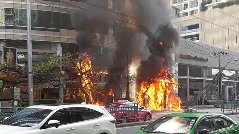 ไหม้สายเคเบิล 