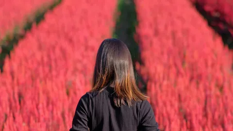 เปิด 3 ทริปทัวร์ “คนโสด” ไม่โสดห้ามไป ททท.จัดนำร่อง