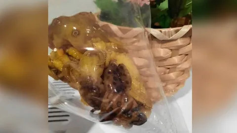 ห้ามกินหมึกบลูริง พิษร้ายแรงถึงตาย ทนไฟได้ถึง 200 องศา (คลิป)