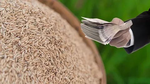 ชาวนายิ้มได้เงินชดเชยแน่ นบข.เคาะงบประกันข้าวอีก 2.8 หมื่นล้านบาท