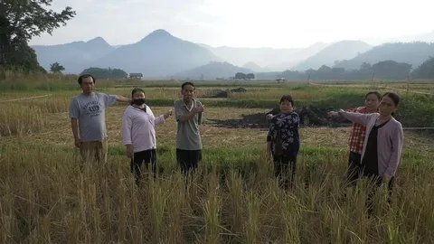 ตายายลำปางร่ำไห้ โดนบุกลอบเผาข้าวเปลือกกว่า 2 ตัน ยันไม่ได้ไปทะเลาะใคร