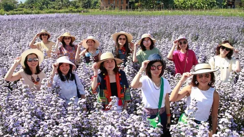 “นางฟ้าผู้อารี”