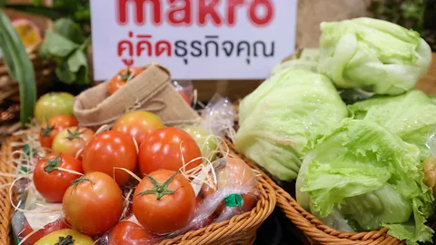 แม็คโครขึ้นเบอร์หนึ่งรับซื้อผลผลิตโครงการหลวงต่อเนื่องกว่า 100 รายการ