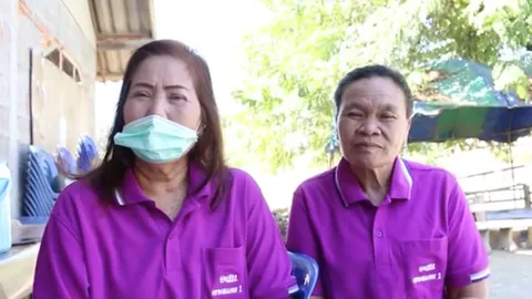 สสจ.มุกดาหารพบ หอยแมลงภู่นึ่งมีเชื้ออหิวาตกโรค แนะต้มในน้ำเดือดก่อนกิน