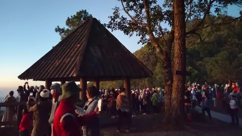 คนแห่ขึ้นดอยแม่กำปอง ชมทะเลหมอกสัมผัสลมหนาว วอนเลี่ยงนำรถส่วนตัวขึ้นมา