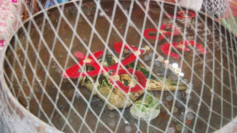 นักเสี่ยงโชคแห่ส่องขันน้ำมนต์ ฤๅษีเณร ธาตุพุทธคุณ เจอเลขเด็ดลอยเป็นชุด