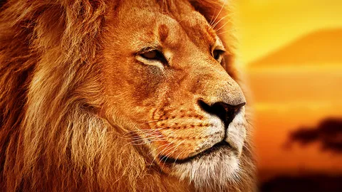 Biden was the lion of the party.