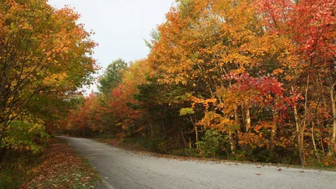The spring dissolves the snow.