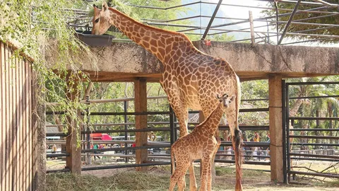 ชีวิตใหม่