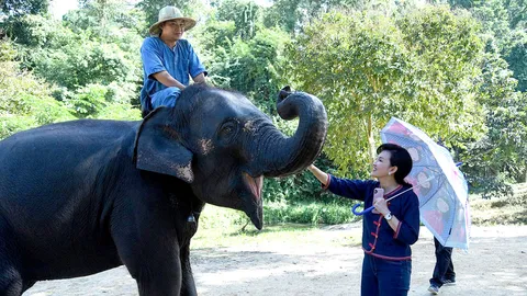 "กิฟฟารีน" ตอบแทนคุณแผ่นดิน สร้างองค์กรต้นแบบ ชวนคนไทยร่วมอนุรักษ์ช้างไทย