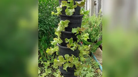 อบรมอาชีพเกษตรฟรี