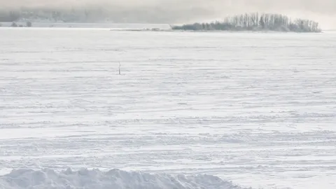 กระบวนการเอื้อต่อชีวิตจุลินทรีย์ใต้ธารน้ำแข็ง