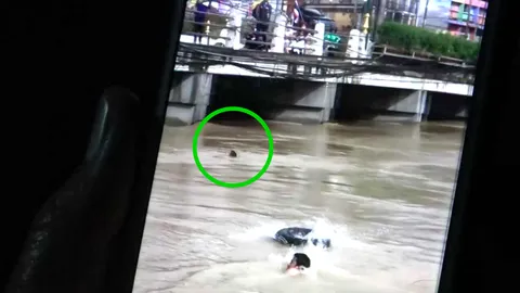 นาที "เด็กปัตตานี" โดดสะพานเล่นน้ำ จม 5 หาย 1 ยังหาไม่เจอ (คลิป) 