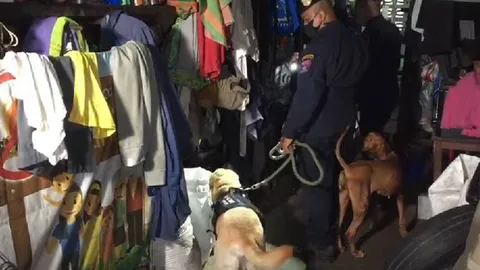 ผบช.น.นำสุนัขตำรวจ ตรวจบ้านที่สาวเสพเคนมผงดับ 2 ศพ หาหลักฐานเพิ่ม