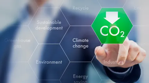 ซาอุดีอาระเบียสร้างเมืองแห่งสิ่งแวดล้อมปลอดก๊าซคาร์บอน