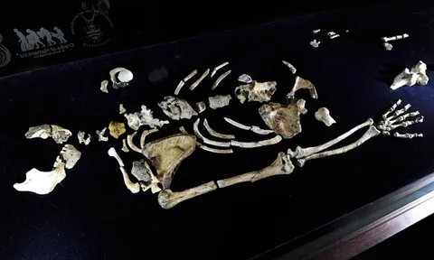 โลกาภิวัตน์ 13/09/54