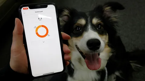 ปลอกคออัจฉริยะ