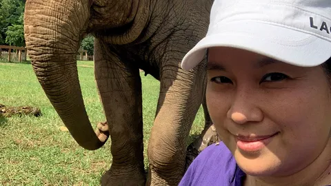 หนึ่งสาวเวิร์กกิ้งวูแมน "วรจรรย์ เที่ยงธรรม" แม่พระคนรักช้าง 