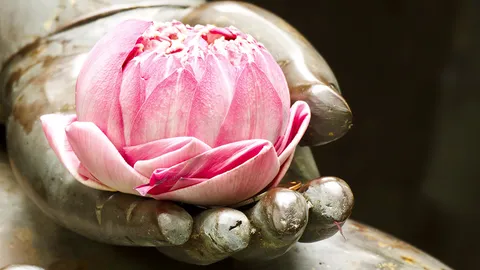 ไอเดีย "สวัสดีวันอังคาร" รวมคำอวยพรส่งความรัก และความคิดถึง