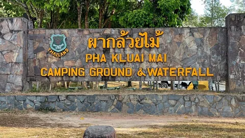 ปิดจุดกางเต็นท์ อุทยานเขาใหญ่ หวั่นช้างป่าชุกชุมทำร้ายนักท่องเที่ยว