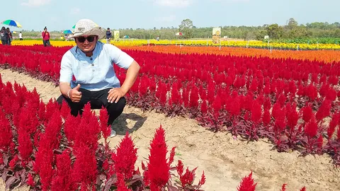 หนุ่มช่างกลสู้วิกฤติเปลี่ยนไร่อ้อยทำสวนดอกไม้ คนแห่ชมแน่นสร้างรายได้งาม