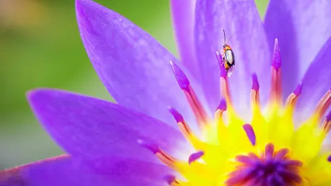 รวมข้อความ "สวัสดีวันเสาร์" ต้อนรับวันหยุดสดใส ส่งความห่วงใยให้แก่กัน