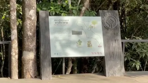 หนุ่มอ่างทองพลัดตกผาเดียวดายดับ คาด 3 สาเหตุ อุบัติเหตุ-ประมาท-ฆาตกรรม (คลิป)