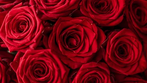 รวมไอเดีย "สวัสดีวันอาทิตย์" ส่งกำลังใจดีๆ ทักทายกันในวันหยุดพักผ่อน 