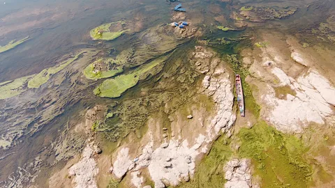 แม่น้ำโขงที่หนองคาย ลดต่ำน่าห่วง ตะไคร่เขียวโผล่ กระทบประมง-กระชังปลา