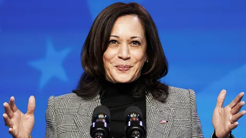 'คามาลา แฮร์ริส' ชูแม่คือแรงบันดาลใจ พลิกประวัติศาสตร์ รอง ปธน.สหรัฐฯ (คลิป)