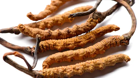 ปราบ “ถั่งเช่า” โฆษณาเกินจริง ลุยแจ้งเอาผิด ข่ายหลอกลวง