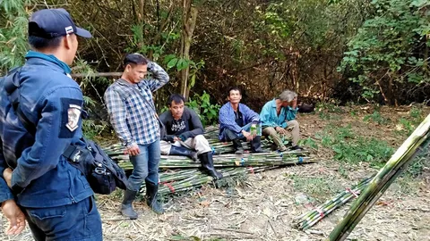 ชิงผู้ต้องหา