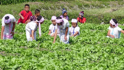 90 วัน ปลูกผักเฟส 2