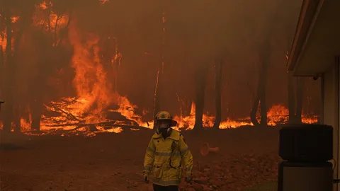 ไฟป่าเผาเมืองเพิร์ธ ทางตะวันตกของออสเตรเลียวอด