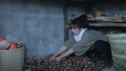 Li Ziqi ขึ้นแท่นช่องยูทูบภาษาจีนที่มียอดผู้ซับสไครบ์ มากที่สุดในโลก 