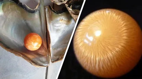 เปิดความลับ "มุกเมโล" โคตรแพง ตรวจสอบให้ดี อย่าให้โดนแหกตา จนจุกอก