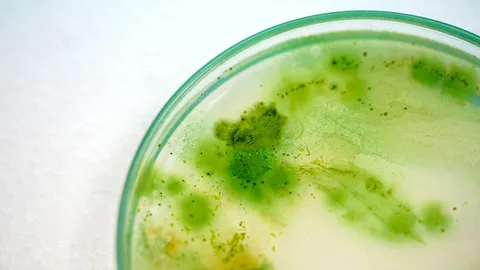 มองหาความยั่งยืน