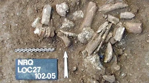 หลักฐานเก่าแก่สุด ในการใช้สัญลักษณ์ของมนุษย์