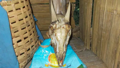 พบกลุ่มคนรุกป่าต้นน้ำแก่งกระจาน สร้างที่พัก ล่าเลียงผาเป็นอาหาร