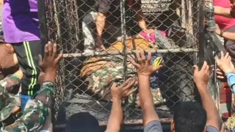 ระทึก รมควัน "เสือโคร่ง" ยิงยาสลบ จับใส่กรงส่งกลับป่าห้วยขาแข้ง (คลิป)