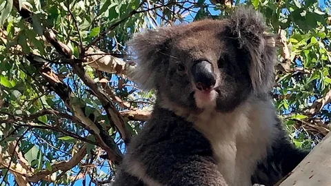 ก็จะไปฝั่งนู้น