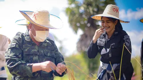 มทภ.4 ร่วมกิจกรรมเกี่ยวข้าว พลิกนาร้าง เป็นนารัก สร้างสันติสุข จชต.