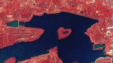 "จิสด้า" โชว์ภาพหวาน เกาะรูปหัวใจกลางน้ำ ร้านดอกไม้สุดหงอย "วาเลนไทน์" ยอดฮวบ