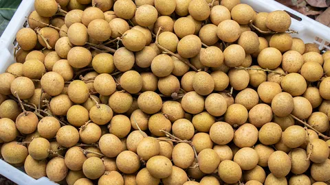 "ศ.ภญ.ดร.พรอนงค์ อร่ามวิทย์" ศึกษาวิจัยลำไยใช้พ่นคอ จมูก สกัดไวรัสได้