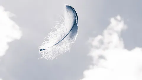 She made a clean breast of it.