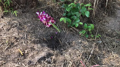 พบซากทารกถูกแอบฝังในสุสานชลบุรี คาดฝีมือพ่อแม่มือใหม่ ไม่ใช่พิธีคุณไสย