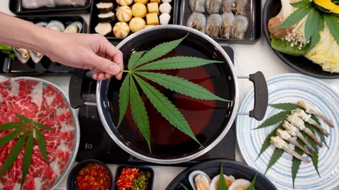 "กัญชา" สู่ หม้อชาบู ร้านดังยันไม่ผิดกฎหมาย หวังนำความแปลกใหม่ดึงลูกค้า