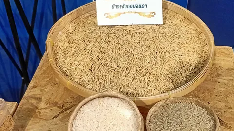 2 พันธุ์ข้าวใหม่