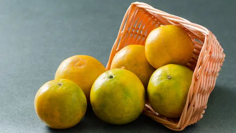 จุฬาฯ เล็งสกัด “สารรูติน” ในผิวส้มผลิตยารักษาโควิด-19